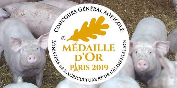 porc delice medaille or 2019