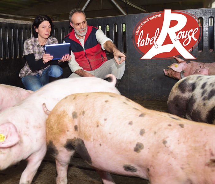 eleveur et porc delice label rouge